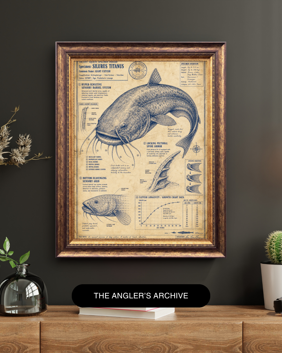 Catfish Blueprint Art Print | Fisherman’s Anatomy Collection