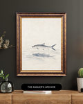 Sumi-e Bonefish Art Print – Japandi Saltwater Fishing Wall Art | Minimalist Angler Gift
