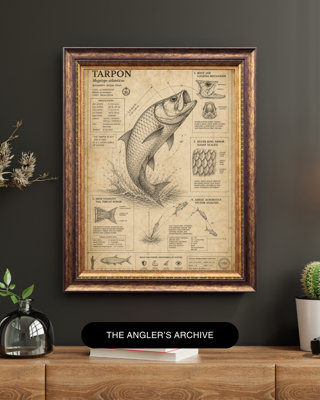 Tarpon Blueprint Art Print | Fisherman’s Anatomy Collection