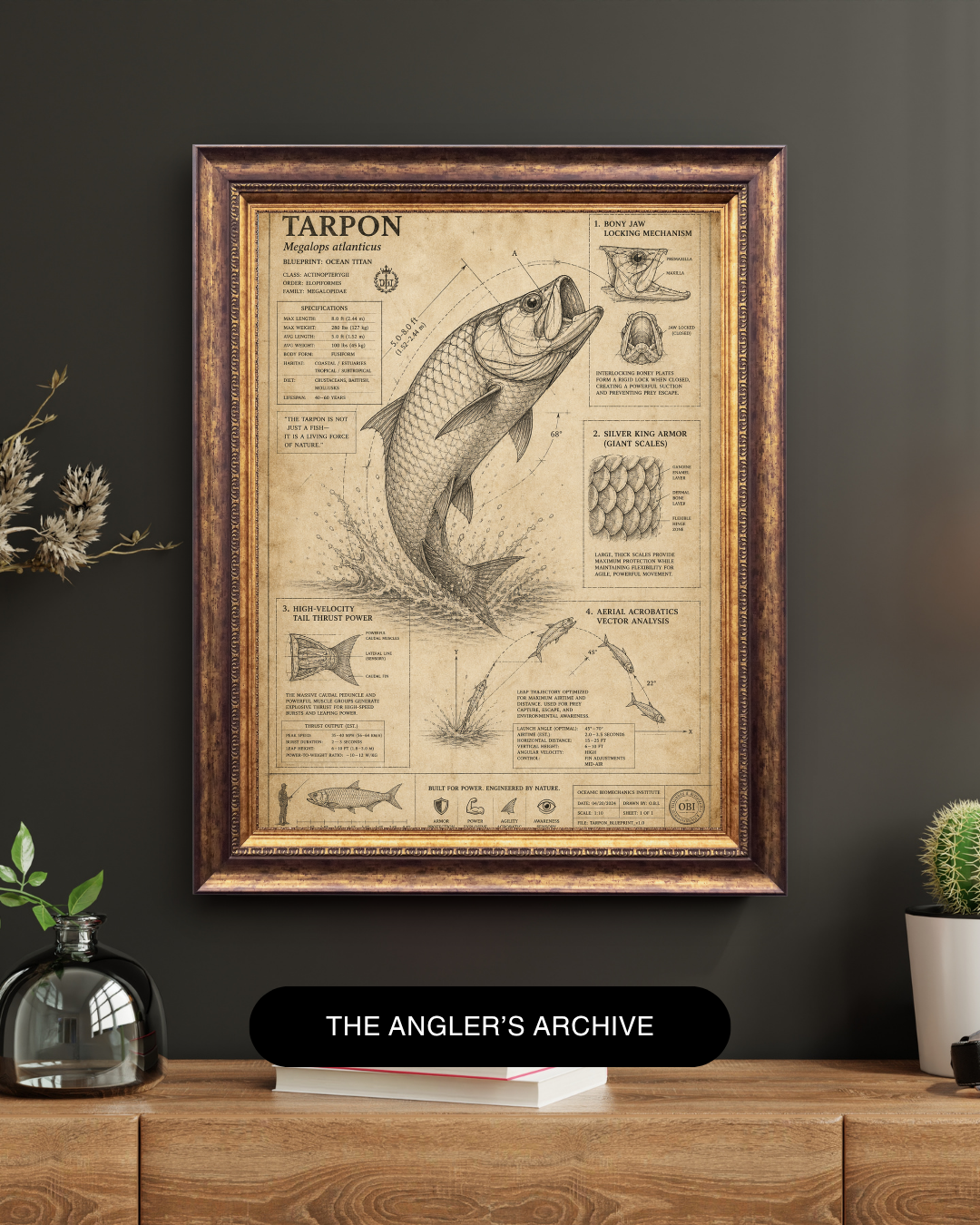 Tarpon Blueprint Art Print | Fisherman’s Anatomy Collection