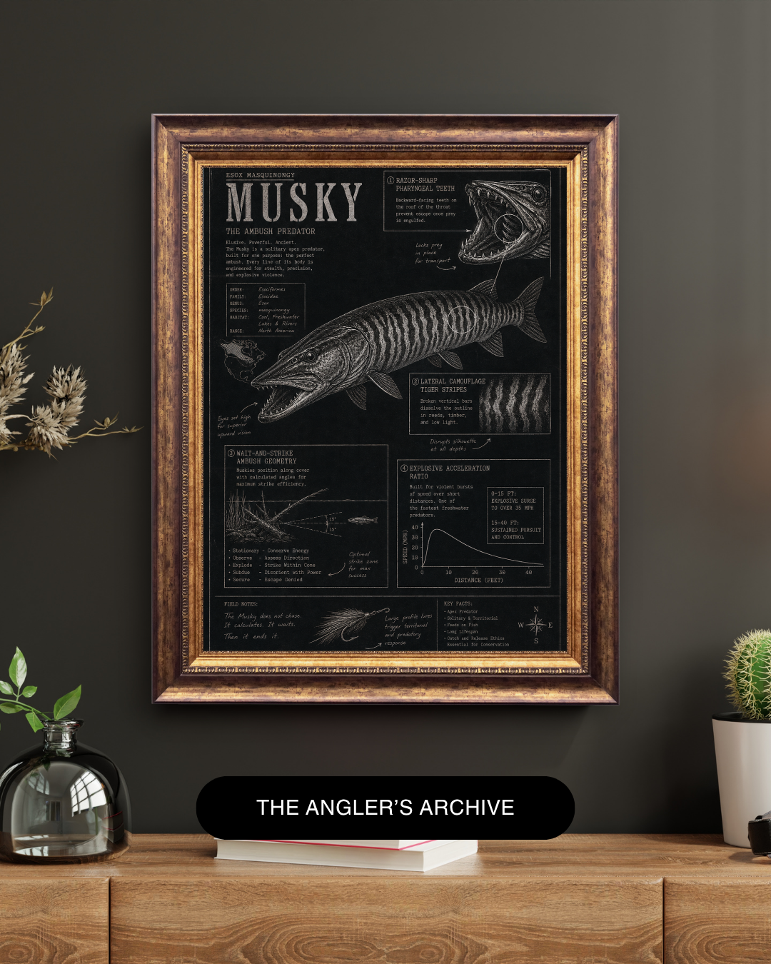 Musky Blueprint Art Print | Fisherman’s Anatomy Collection
