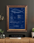 Mai-Mahi Blueprint Art Print | Fisherman’s Anatomy Collection
