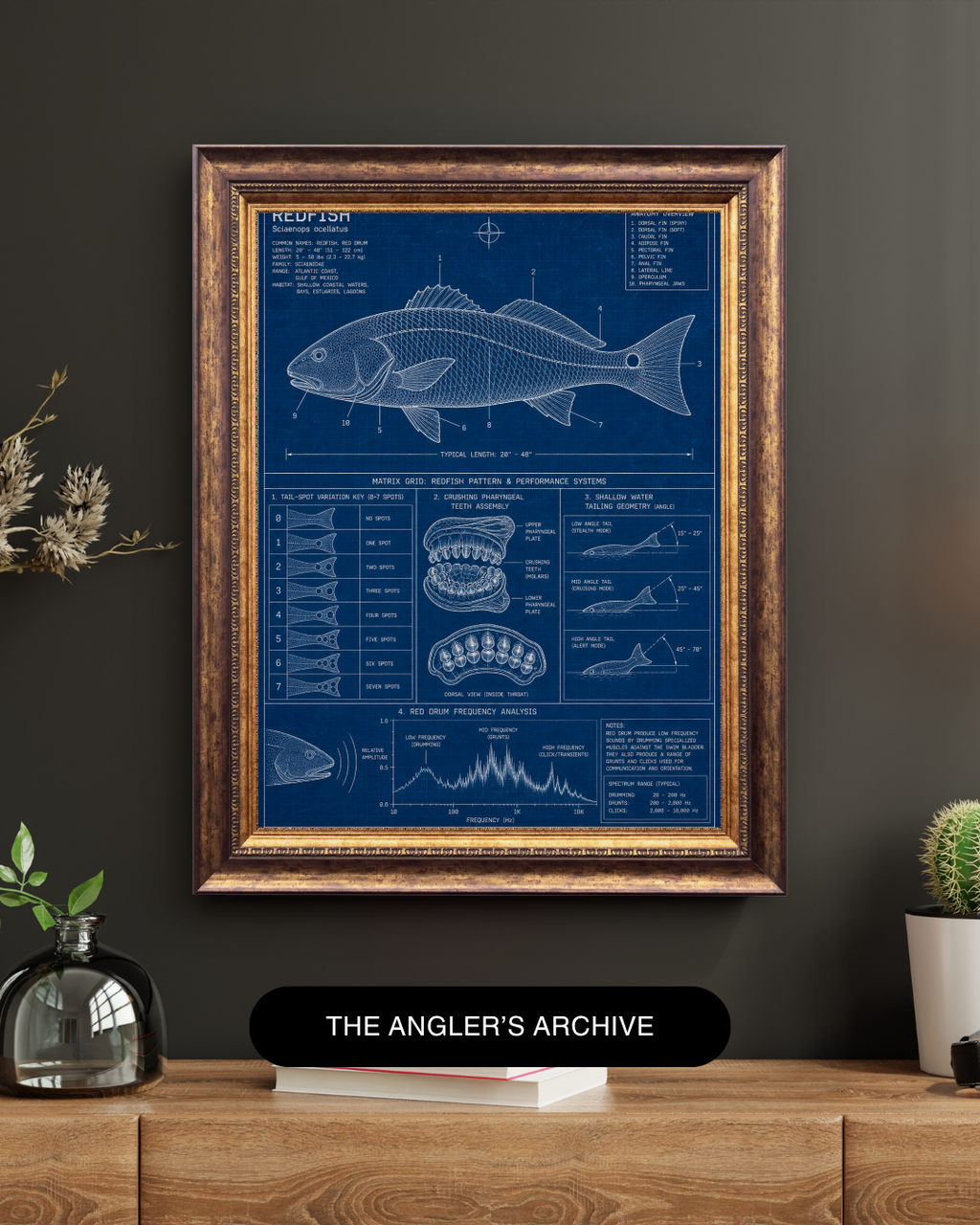 Redfish Blueprint Art Print | Fisherman’s Anatomy Collection