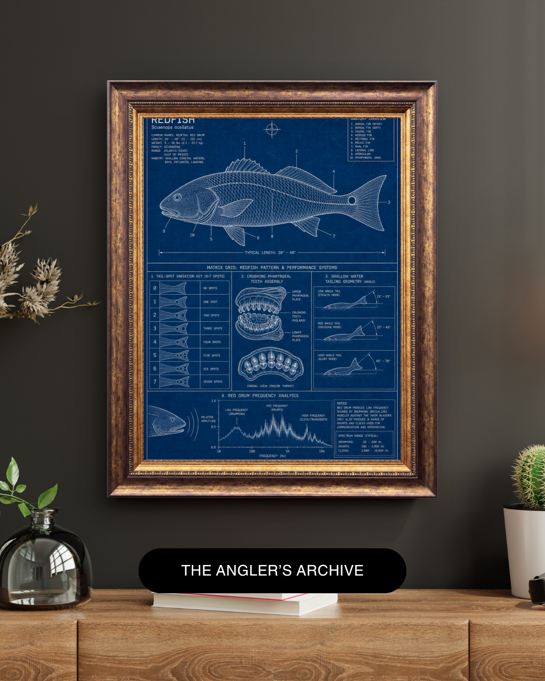 Redfish Blueprint Art Print | Fisherman’s Anatomy Collection