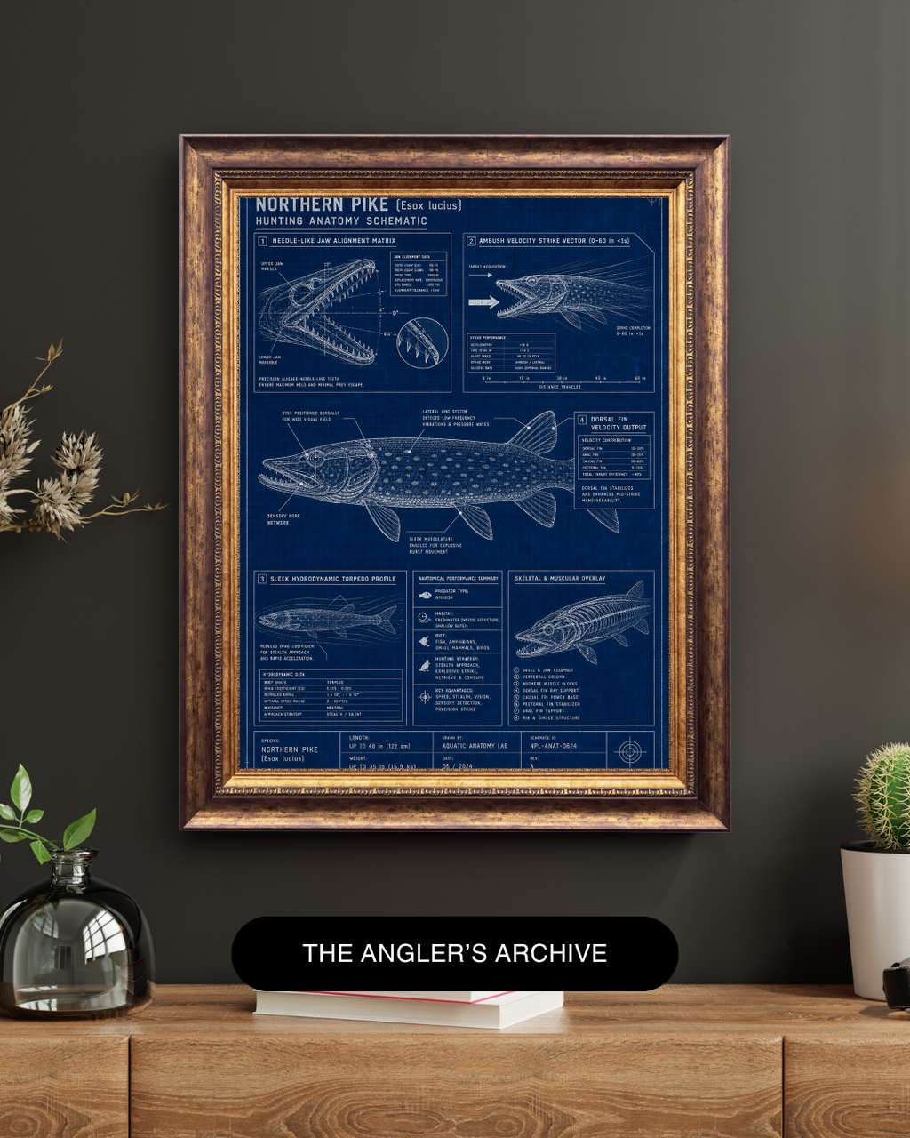 Northern Pike Blueprint Art Print | Fisherman’s Anatomy Collection